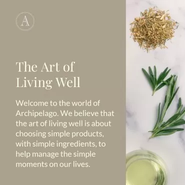 Archipelago Botanicals Milk Body Wash | Moisturizing and Soothing Daily Cleanser | Free from Parabens and Sulfates (33 fl oz)