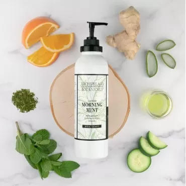 Archipelago Botanicals Morning Mint Lotion | Stimulating, Smoothing Daily Body Lotion | Free From Parabens, Phthalates and GMOs (18 oz)