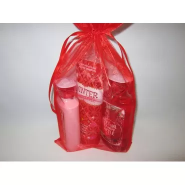 Bath & Body Works Winter Candy Apple Bagged Gift S...