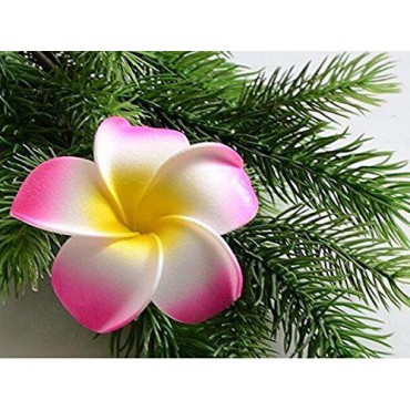12PCS Women's Grils Hawaiian Plumeria Flower Hair ...