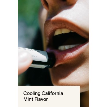 SALT & STONE California Mint Lip Balm (1 Pack) | N...