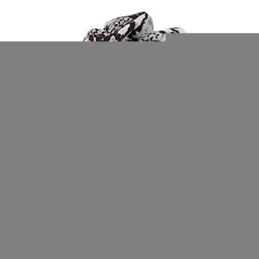 6 Pack Snake Print Cheetah Colors Leopard Print Ha...
