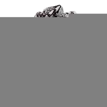 6 Pack Snake Print Cheetah Colors Leopard Print Ha...