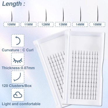 PAGOW 2 Sets Fishtail Eyelash Extensions Mix Length Single Cluster Fans Fashion Fairy C Curl Super Natual Grafting Fly Sharp Spikes M Type 10D Lashes (Mix 10-15mm, Spikes lashes,12 rows)