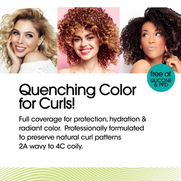 All About Curls 20 Volume Creme Developer | For Ha...