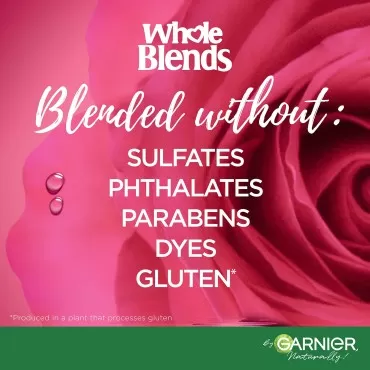 Garnier Whole Blends Sulfate Free Remedy Miracle Color Protector Illuminating 10-in-1 Leave-In Conditoner for Color Treated Hair, Red Rose and Vinegar, 5 Fl Oz, 2 Count (Packaging May Vary)