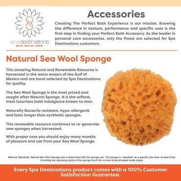 Facial Sea Wool Sponge 2-3