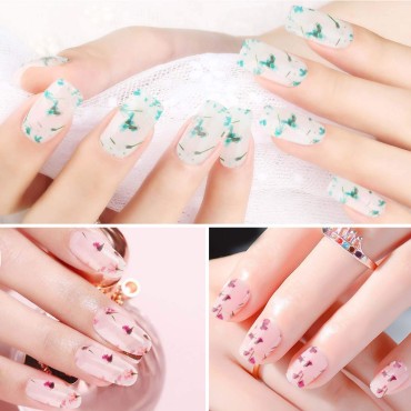 SAVILAND Dried Flower Gel Nail Polish, 6 Colors So...