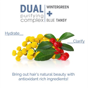 GIOVANNI 2chic Clarifying & Calming Shampoo - Clarifying Shampoo for Build Up, Helps Remove Residue, Lemon Balm & Squalane Balance & Hydrate, Detox Shampoo, Sulfate Free, Color Safe - Wintergreen & Blue Tansy, 24 oz