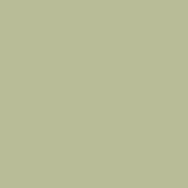 Revlon Colorstay Shadowlinks, 200 Lime