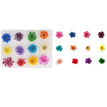 XICHEN 120 PCS/ 2Boxes Five Flower Flower Three-Di...