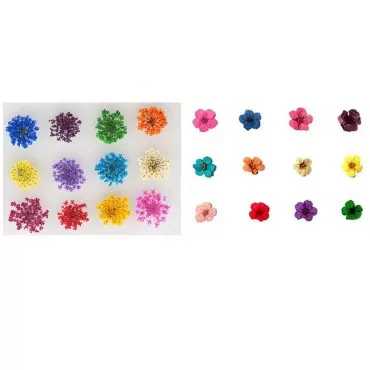 XICHEN 120 PCS/ 2Boxes Five Flower Flower Three-Dimensional Applique 3D Nail Stickers Nail Supplies Dried Flowers?Starry and Five Flower?