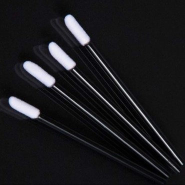 Pimoys Lip Brushes, 200Pcs/Set Disposable Lip Brus...