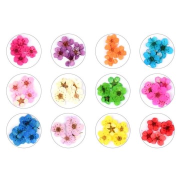 Valuu 3D Nail Dried Flowers Sticker?60 Five Petal ...
