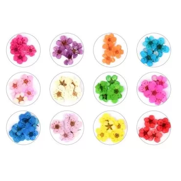 Valuu 3D Nail Dried Flowers Sticker?60 Five Petal Flower 12 Colors Natural Real Dry Flower Nail Stickers ?60 Flowers?