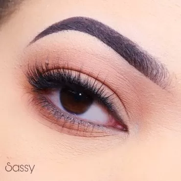 3D FAUX MINK LASHES: SASSY...