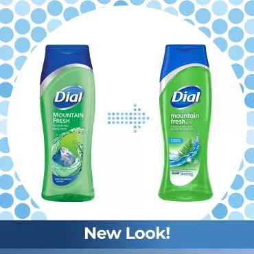 Dial Body Wash, Mountain Fresh, 16 Fl Oz (Pack of 6)