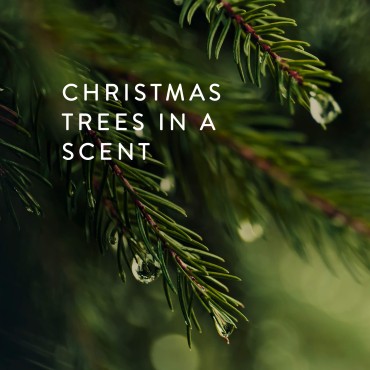 Thymes Frasier Fir Hand Cream - 1 Fl Oz...