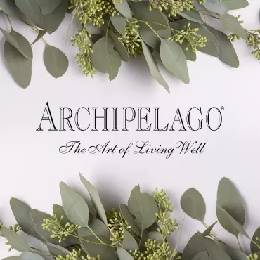Archipelago Botanicals Morning Mint Body Wash | Stimulating and Cleansing Daily Cleanser | Free from Parabens and Sulfates (33 fl oz)