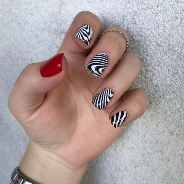 Geometric Nail Stamping Plate French Nail Stamper ...