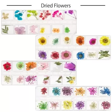 ANPHSIN 4 Boxes Dried Flowers Nail Art- 48 Colors ...