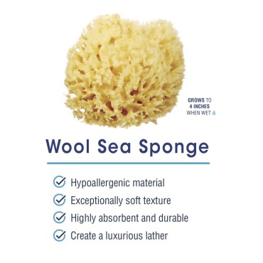 HartFelt Delicate Skin Wool Sea Sponge 4 in | Real...