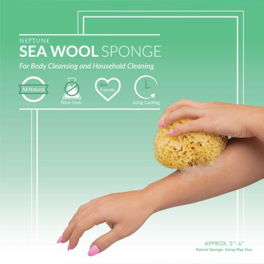 Neptune Natural Sea Wool Sponge - All Natural Hone...