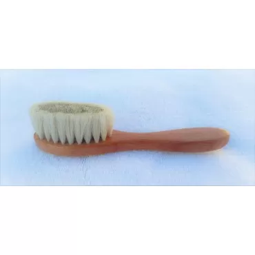 eBeyza Exfoliating Dry Facial Brush