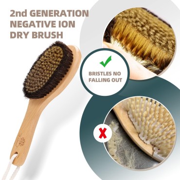 ZP Natural Dry Brushing Body Brush Set, Negative I...