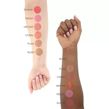 TEMPTU S/B Silicone-Based Airbrush Blush Starter S...