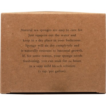 Baudelaire, Sea Sponge Caribbean Wool 4.5 in, 1 Co...