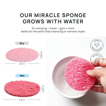 AOA Studio 50-Count Compressed Facial Sponges 100%...