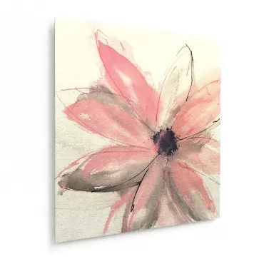 Trademark Fine Art ' Blush Clematis I ' Metal Art ...