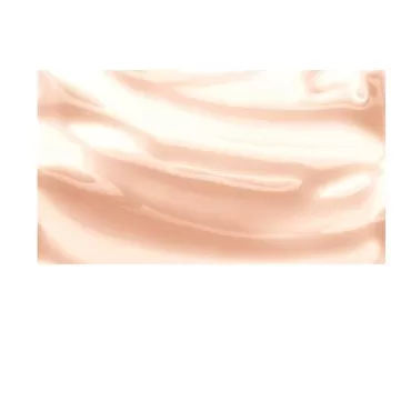 Burt's Bees 100% Natural Moisturizing Lip Shine, S...
