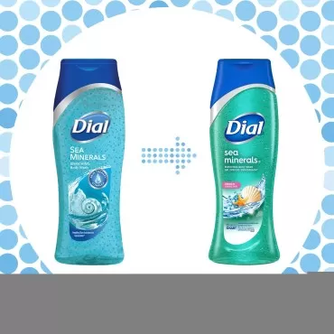 Dial Body Wash, Sea Minerals, 16 Ounce