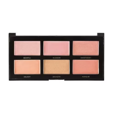 Profusion Cosmetics The Go Palette - Blush I, Long...