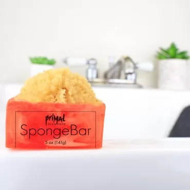 Primal Elements Island Oasis SpongeBar Soap (Pack ...