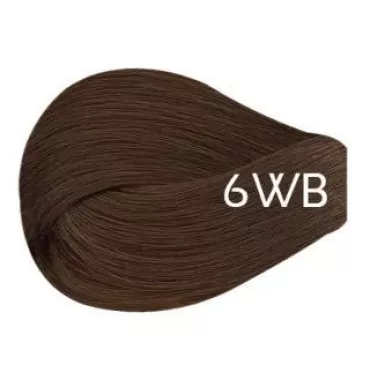Vivitione Permanent Cream Color (6WB Dark Warm Blo...
