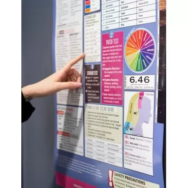 Salon Hair Color Laminated Poster 18