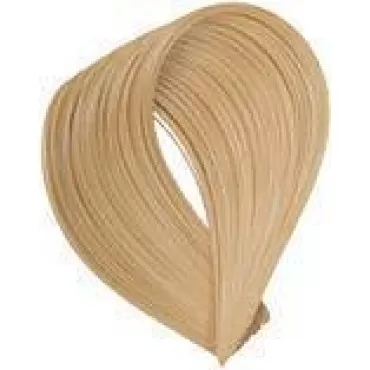 G & C Hair Color (10.0/10.N Lightest Natural Blonde)