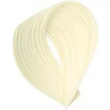 G & C Hair Color (12.00/12.NN Extra Platinum Blonde)