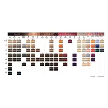 Schwarzkopf Igora Royal Permanent Hair Color - D-0...