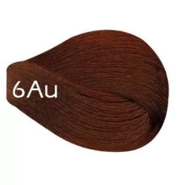 Vivitione Permanent Cream Color (6Au Light Auburn)...