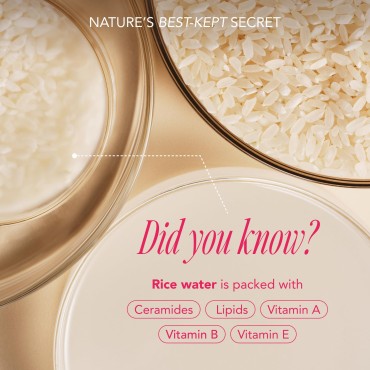 The Face Shop Rice Water Bright Travel Kit, Korean...