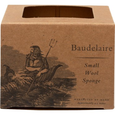 Baudelaire, Sea Sponge Caribbean Wool 4.5 in, 1 Co...