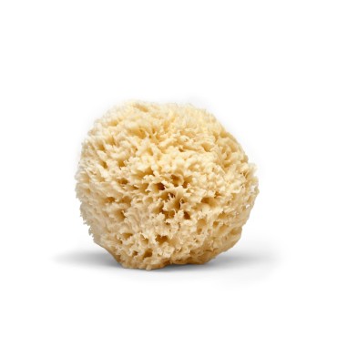 LATHER Natural Sea Wool Sponge 4-6” - Gentle Exfol...