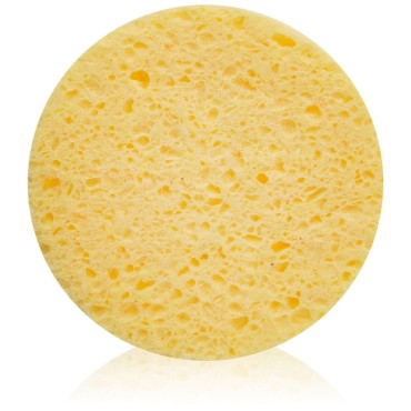 FantaSea Cellulose Cleansing Sponge, 12-Count Bags...