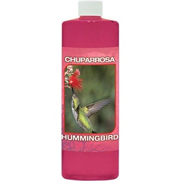 Hummingbird Spiritual Water - 16oz