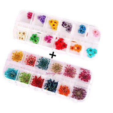 XICHEN 120 PCS/ 2Boxes Five Flower Flower Three-Di...