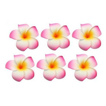12PCS Women's Grils Hawaiian Plumeria Flower Hair ...